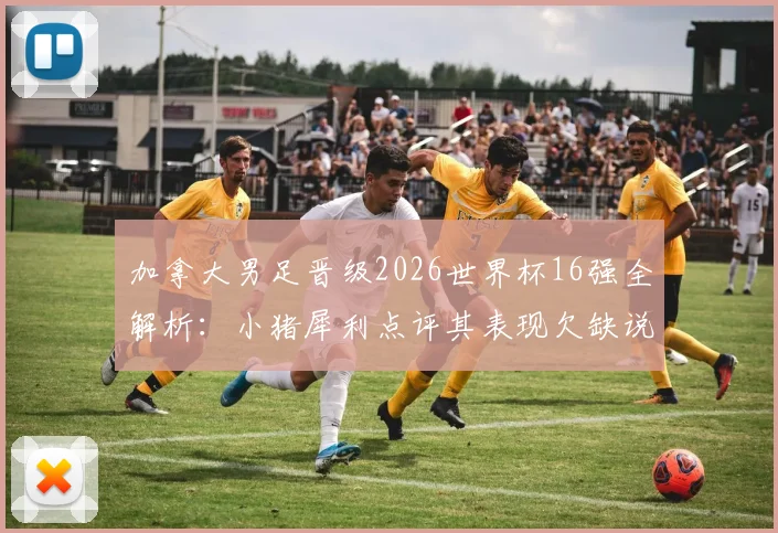 加拿大男足晋级2026世界杯16强全解析:小猪犀利点评其表现欠缺说服力,背后原因与未来前景深度探讨