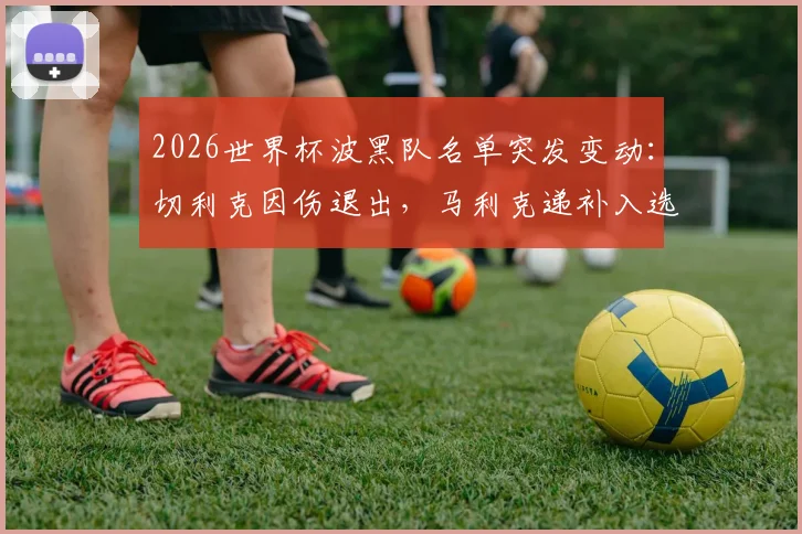 2026世界杯波黑队名单突发变动：切利克因伤退出，马利克递补入选影响分析与球员实力解读