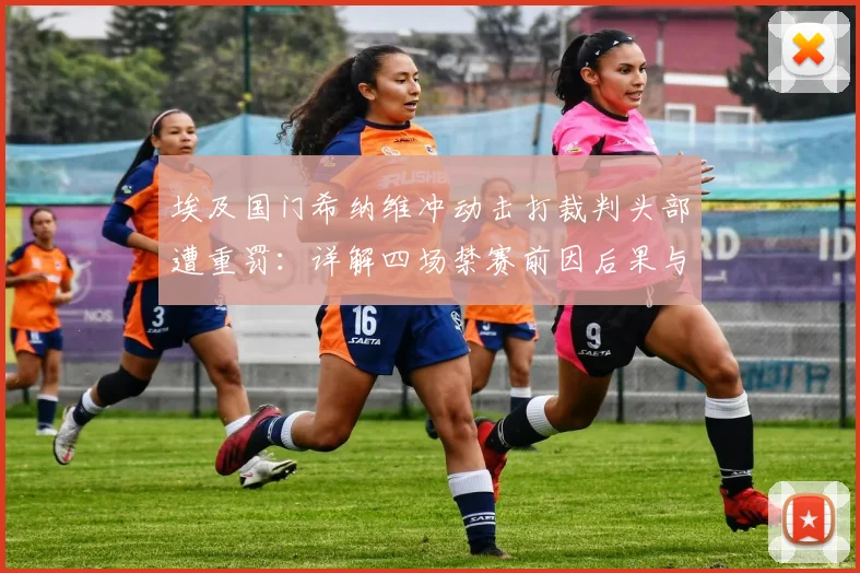 埃及国门希纳维冲动击打裁判头部遭重罚：详解四场禁赛前因后果与对埃及队的潜在影响