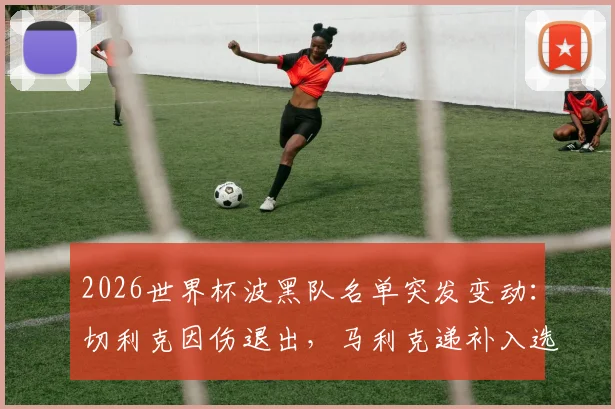 2026世界杯波黑队名单突发变动：切利克因伤退出，马利克递补入选影响分析与球员实力解读